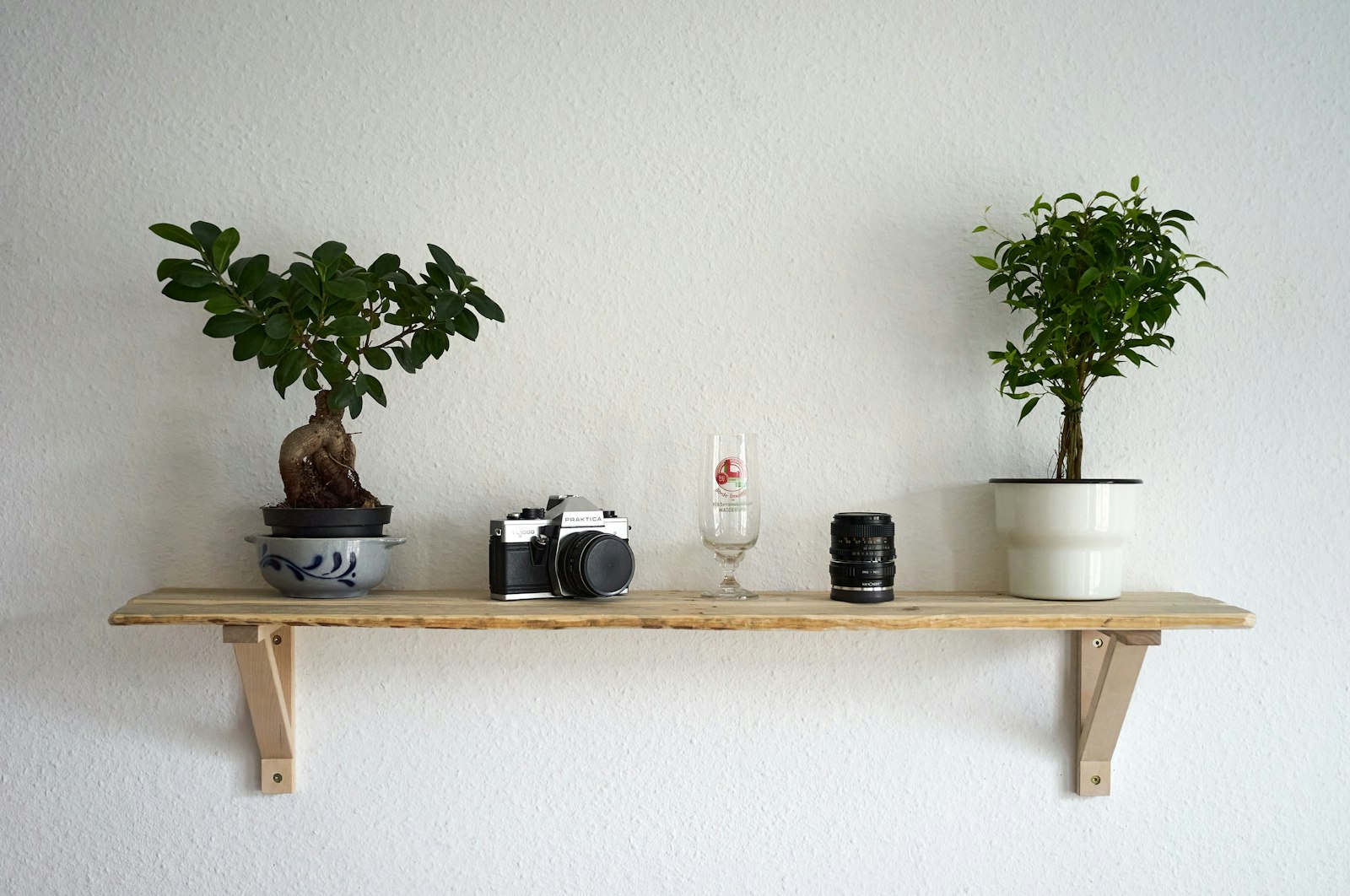 A vintage camera and lens displayed openly on a wooden shelf next to potted plants