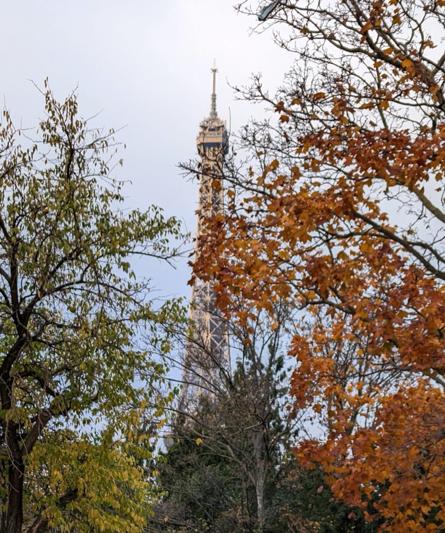 The Eiffel Tower's spire seen through autumn-colored tree branches in Paris